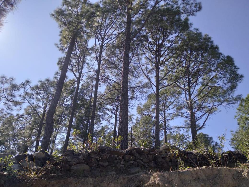 Nature Villaas Basa Homestay Pauri エクステリア 写真