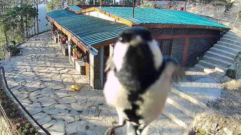Nature Villaas Basa Homestay Pauri エクステリア 写真